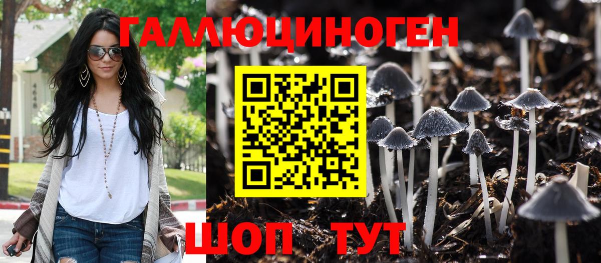 Псилоцибиновые грибы Psilocybe  Псилоцибиновые грибы ЛСД  Вход с VPN  купить наркоту  Нурлат 