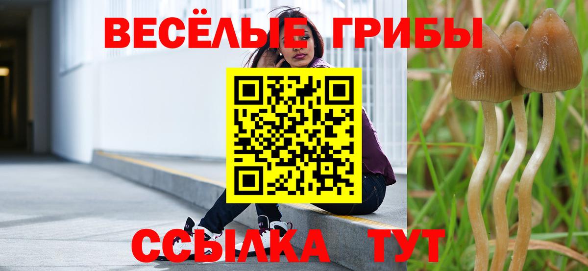 Галлюциногенные грибы мухоморы Нурлат